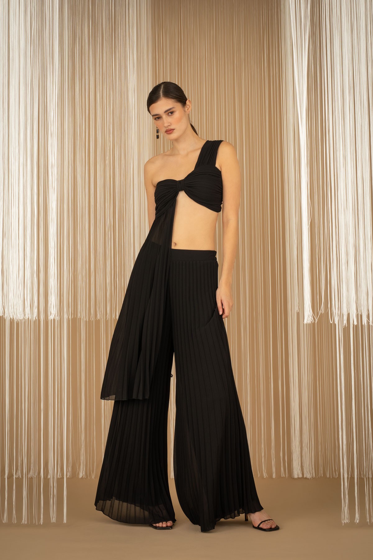 Ηigh-waisted pleated wide-leg pants