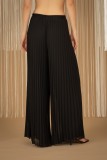 Ηigh-waisted pleated wide-leg pants